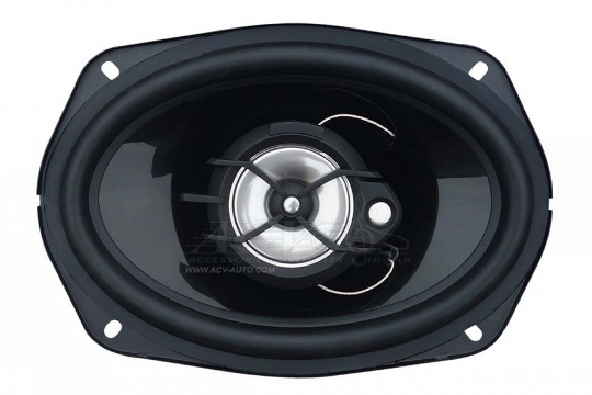 ACV SL-693. ����������� �������������� SL-693.